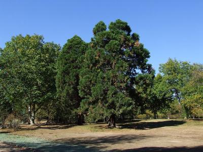 Прикрепленное изображение: n07.jpg